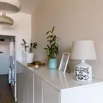 Vimini *